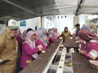 Forum KWT Kecamatan Setu Kompak Semai Cabe hingga Tanam Jagung, Ketahanan Pangan Makin Bergairah