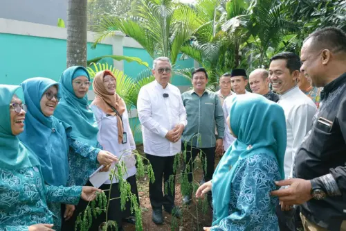 Kenali Manfaat Daun Kelor, Banten Tanam Seribu Pohon