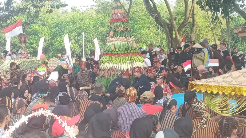 Melongok Kirab Syukur Suro Petilasan Dewi Sekartaji, Diarak Keliling Desa, Tumpeng Jadi Rebutan Warga