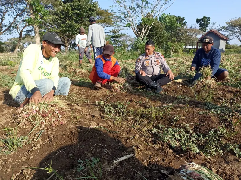 Sambangi Petani Bawang Merah, Kapolsek Mojoroto Dengar keluhan Pupuk dan Elpiji 3 kg