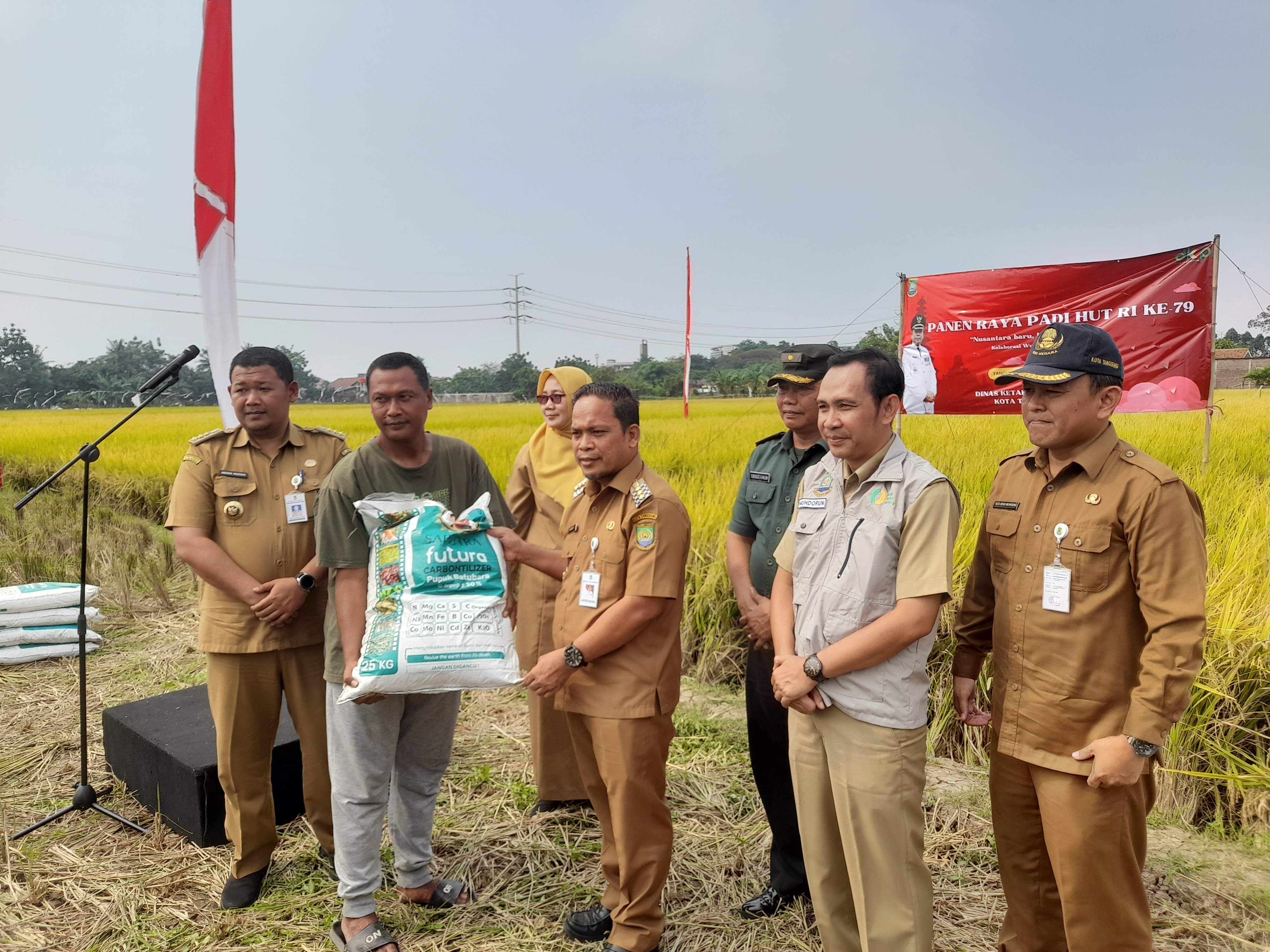 Panen Raya Padi di Kota Tangerang