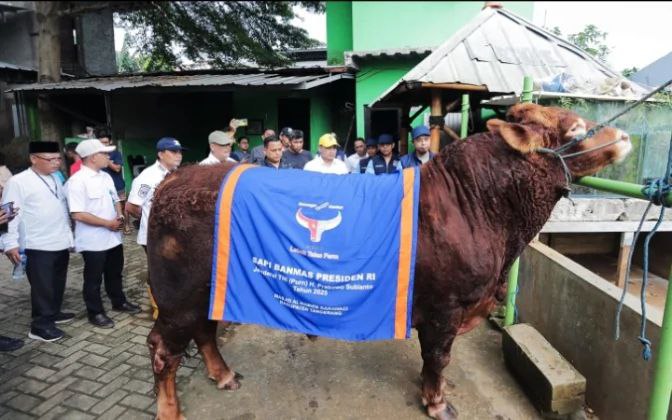Jelang Idul Adha Pemkot Tangsel Perketat Pengawasan Hewan Kurban, 4.330 Bebas PMK