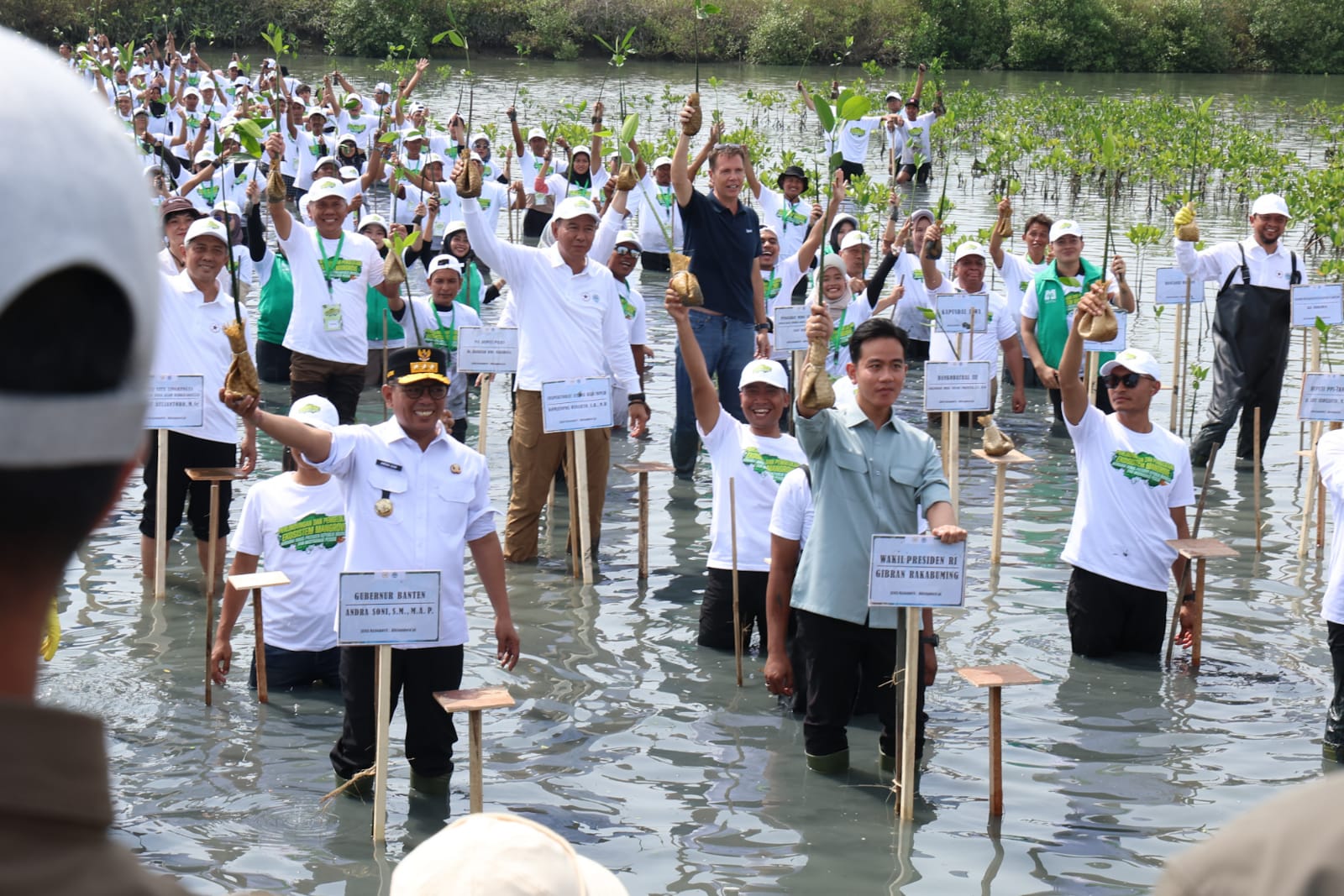 Wapres Gibran dan Gubernur Andra Soni Tanam Mangrove di Pesisir Mauk